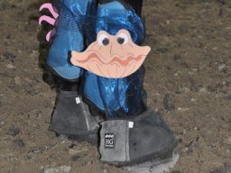 DSC_0233-2_web
